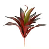Photograph of 9.5" Purple/Red Aloe Vera Pick 3/Pk