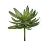 Photograph of 6" Green/Gray/Purple Succulent Asst Pk/3