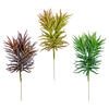 Photograph of 8" Green/Gray/Purple Succulent Asst Pk/3