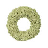 Photograph of 17.5 " Reindeer Moss Wreath-Moss Green