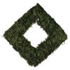 Photograph of 15.5 " Reindeer Moss Square-Dark Green