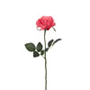 Photograph of 23" Rose Stem-Coral (Pk/6)