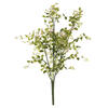 Photograph of 22" Green Bog Pimpernel Leaf Spray 2/Pk