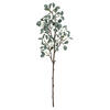 Photograph of 22" Gray Green Eucalyptus Branch Pk/3