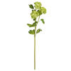 Photograph of 23.5'' Green Ball Flower Spray 2/Pk