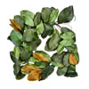 Photograph of 30" Green Magnolia Wreath