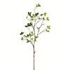 Photograph of 43" Green Milan Leaf Pk 2/Pk