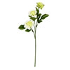 Photograph of 17" Cream Dahlia Spray 6/Pk