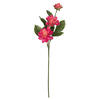 Photograph of 17" Fuchsia Dahlia Spray 6/Pk