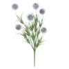 Photograph of 12" Gray Lavender Pom Pom Bush 6/Pk