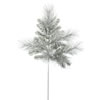 Photograph of 36" Frosted Mix Pine Spray 48 Tips
