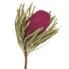 Photograph of 12" Purple Orchid Banksia Flower 3/Pk