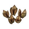 Photograph of 3-4" Natural Sora Pods 250/Bulk Case