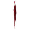 Photograph of 30" Merlot Amaranthus Bundle 7oz