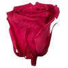 Photograph of 3.5-4" Hot Pink Premium Rose Head - 4/Bx