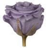 Photograph of 2.5-3" Lilac Standard Rose Head - 6/Box