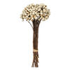 Photograph of 11" Tallow Berry Bunch