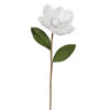 Photograph of 26" White Magnolia Glittered Edge