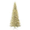 Photograph of 10' x 56" Platinum Fir DL 1400LED WmWht