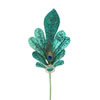 Photograph of 19" Peacock Tail Spray