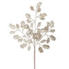 Photograph of 22" Champagne Glit Holly Spray 12/Bg