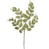 Photograph of 22" Lime Glit Honey Locust Spray 12/Bg