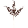 Photograph of 22" Chocolate Glit LocustFern Spray 12Bg