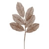 Photograph of 22" Copper Glit Magnolia Spray 12/Bg