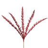Photograph of 22" Red Soap Plant Glitter Spray 6/Bag