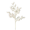 Photograph of 17" White Flock Berry Outdoor Spray 6/Bg