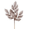 Photograph of 21" Chocolate Glitter Coleus Spray 12/Bx