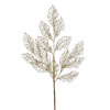Photograph of 21" Champagne Glitter Coleus Spray 12/Bx