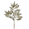 Photograph of 21" Champagne Glitt Bay Leaf Spray 12/Bx