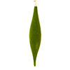 Photograph of 13" Moss Green Flocked Shuttle Orn 3/Bag