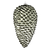 Photograph of 7" Wrought Iron Matte Glitt Pinecone 4Bg