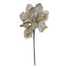Photograph of 29" Champagne Velvet Magnolia 9" Flowr