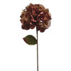 Photograph of 29" Chocolate Velvet Hydrangea 7" Flower