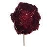 Photograph of 14" Burgundy Pearl Poppy 8" Flr 3/Bg