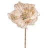 Photograph of 14" Ivory Pearl Magnolia 8" Flr 3/Bg