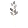 Photograph of 20" Silver Mesh Apple Leaf Spray 3/Bg