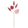 Photograph of 20" Red Magnolia Bulb Spray 3/Bg
