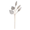 Photograph of 20" Silver Magnolia Bulb Spray 3/Bg