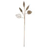 Photograph of 20" Ivory Magnolia Bulb Spray 3/Bg
