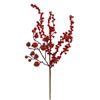 Photograph of 18" Mixed Red Gooseberry Berry Pick