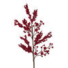 Photograph of 31" Mixed Red Gooseberry Berry Spray