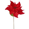 Photograph of 22" Red Poinsettia, 12" Flower, 6/Bag