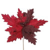 Photograph of 22" Burgundy Poinsettia 21" Flower 6/Bag