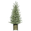 Photograph of 4' x 24" Potted Kendall 100LED WmWht
