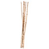 Photograph of 1" - 1.5" x 72" Birch Poles x5 pcs