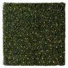 Photograph of 48"x12"x48" Boxwood Hedge 400 WW LED UV
